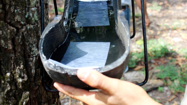 The bottom half of an "ovillanta," a mosquito trap made out of repurposed used tires. (Daniel Pinelo/Grand Challenges Canada/Canadian Press)